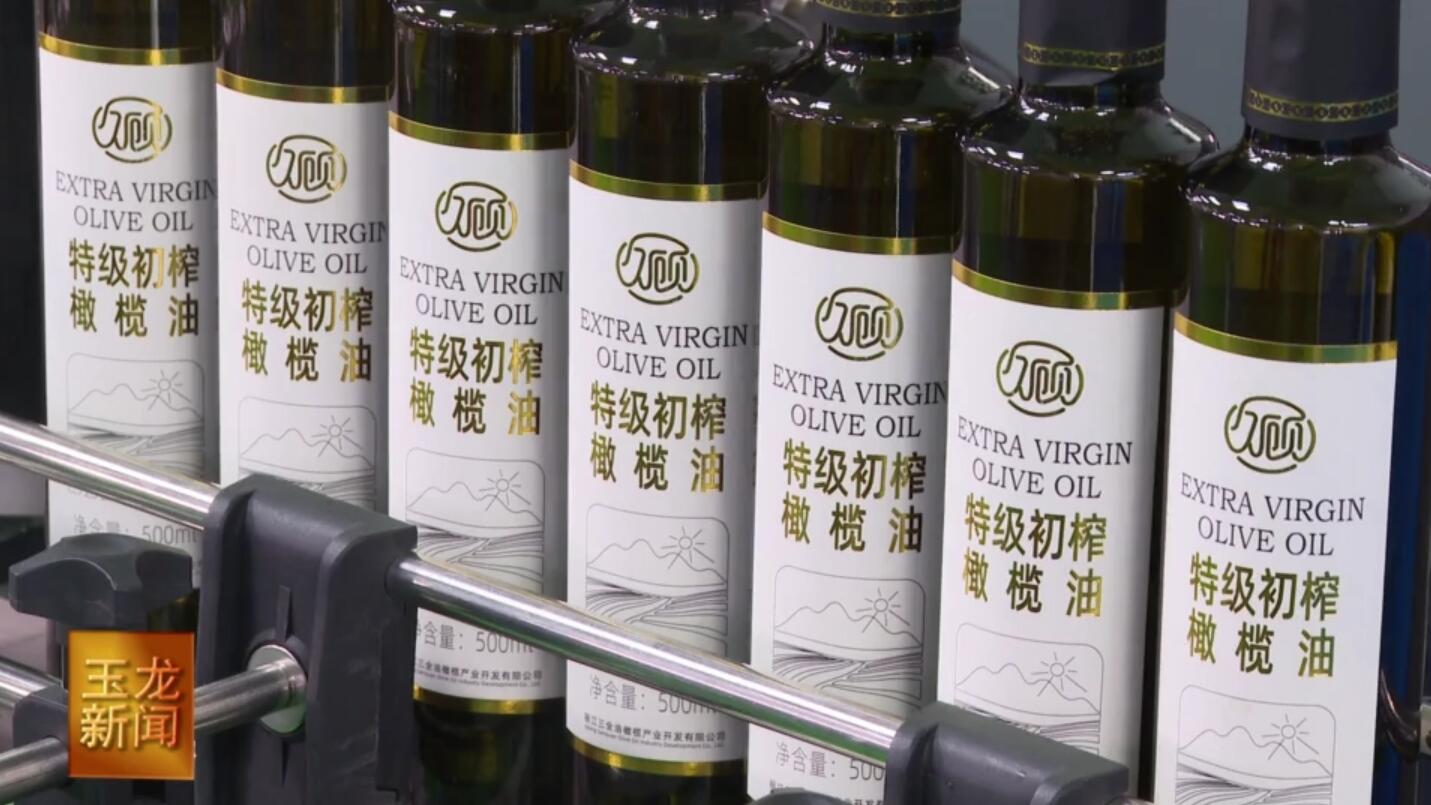 歷時(shí)16年三全公司成為種產(chǎn)銷一體化油橄欖企業(yè)_久顧特級(jí)初榨橄欖油